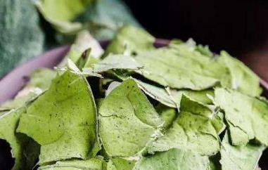 荷叶泡水喝竟有6个害处 荷叶泡水喝的害处