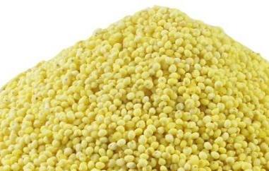 吃黍米的禁忌与注意事项（黍米为什么不能多吃）