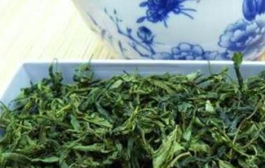 酸枣芽茶的功效与副作用 酸枣芽茶的作用是什么