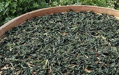 苦菜晒干泡水的功效与作用（苦菜晒干泡水的功效与作用禁忌）