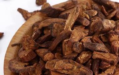 蒲公英根茶的功效与作用有哪些（蒲公英根茶的功效与作用有哪些副作用）