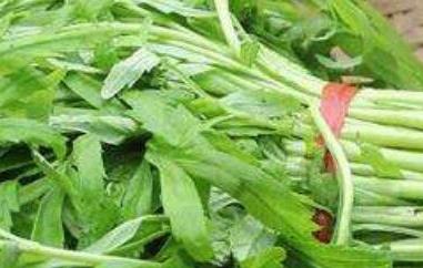 泥蒿和藜蒿的区别 泥蒿与藜蒿区别