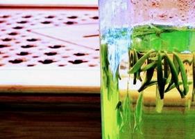 信阳茶文化（信阳茶文化节的活动内容）