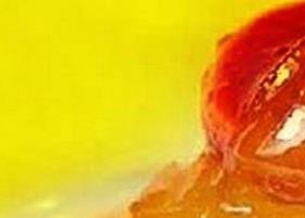 蜂蜜柚子茶怎么喝最好（蜂蜜柚子茶搭配什么喝）