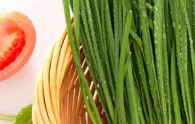 孕妇能吃韭菜吗（孕妇能吃韭菜吗早期）