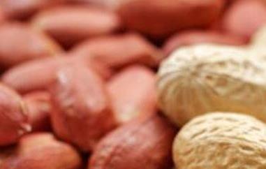 花生的功效与作用 花生的功效与作用与主治