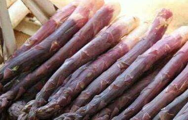 紫芦笋的功效与作用 紫芦笋茶的功效