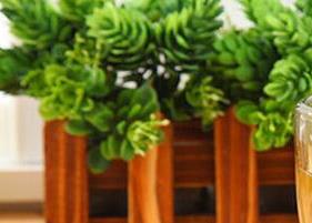 什么茶能明目（什么茶能明目保肝改善干眼症状）