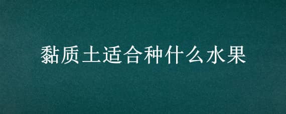 黏质土适合种什么水果（黏质土适合种什么果树）