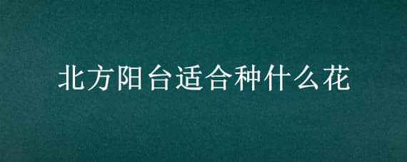 北方阳台适合种什么花 北方阳台适合种什么花草