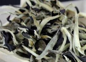 白毫银针与月光白的区别 正宗白毫银针与月光白对比,哪个更好?