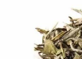 寿眉白茶的功效和作用有哪些 寿眉白茶的功效与作用