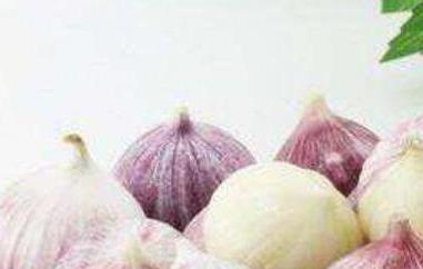 独头蒜的功效与作用(醋泡独头蒜的功效与作用)