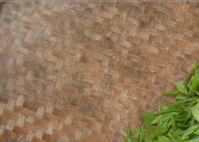 绿茶抗电脑辐射吗(绿茶能抗氧化和防辐射吗)