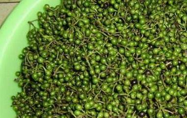 山胡椒和木姜子的区别 木姜子