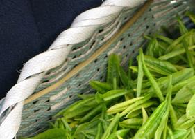 绿茶怎么保存 绿茶怎么保存最好的温度