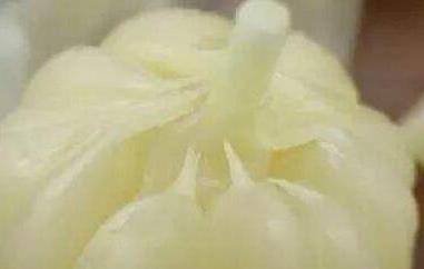 糖蒜如何腌制（糖蒜如何腌制?）