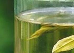 茉莉茶如何制作晒干 茉莉花如何晒干泡茶