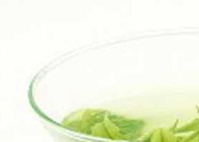 白茶是什么茶 白茶包括哪几种茶