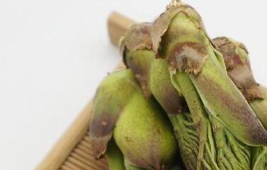 刺老芽的功效与作用 刺老芽的禁忌