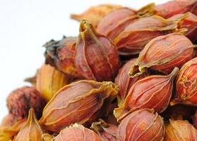 栀子茶的功效与作用及食用方法 栀子茶的药用