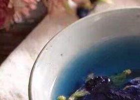 蓝蝴蝶花茶的功效与作用 蓝蝴蝶花茶的功效与作用及禁忌