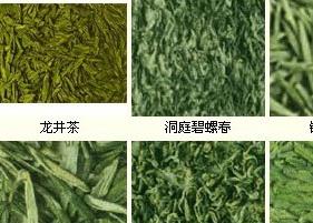 茶叶的分类和品种基本知识 茶叶的分类和品种基本知识点