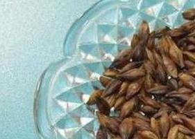 大麦茶的功效与注意事项（大麦茶的功效以及禁忌是什么）