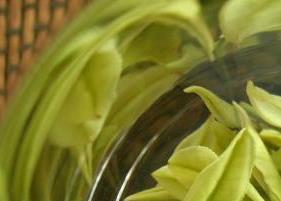 安吉白茶怎么泡 安吉白茶怎么泡最好喝