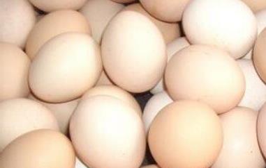 鸡蛋如何清洗（鸡蛋如何清洗保存方法）