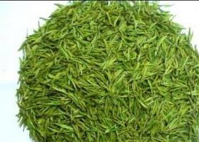 喝安吉白茶的好处（喝安吉白茶好吗）