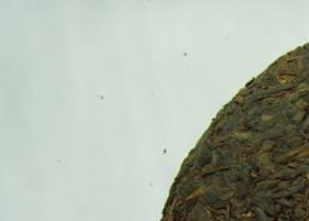 普洱茶生茶和熟茶的区别 普洱茶生茶和熟茶的区别和作用