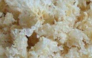 银耳不能和什么一起吃 银耳不能和什么一起吃香哈网手机版