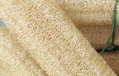 丝瓜壳的功效与作用及药用价值（丝瓜壳的药用价值偏方）