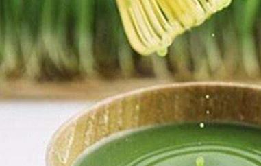 大麦苗青汁的功效与作用(大麦苗青汁的功效与作用副作用)