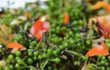 山胡椒怎么腌制 山胡椒怎么腌制不变黑好吃