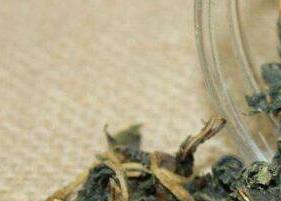 桑叶茶的功效与作用 桑叶茶的副作用