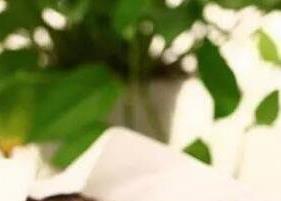 黑茶有哪些功效（黑茶有哪些功效与作用）