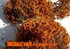 喝红雪茶的功效以及作用（喝红雪茶的功效以及作用是什么）