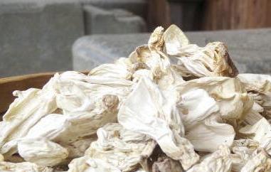 长寿菇的功效与作用（长寿菇的功效与作用图片）