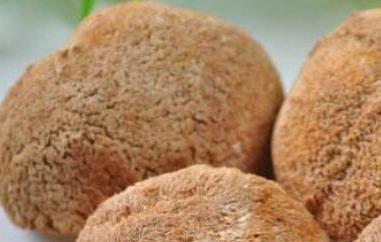 干猴头菇怎么泡发最好（干猴头菇怎么泡发最好和做法好吃）