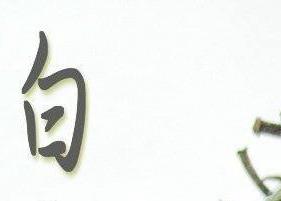 白茶的保健功效（白茶的保健功效图）