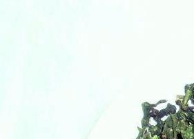 安溪铁观音茶叶怎样喝(喝安溪铁观音茶的好处)