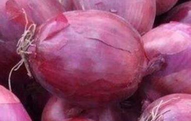 洋葱的功效与作用 洋葱的功效与作用吃洋葱的好处