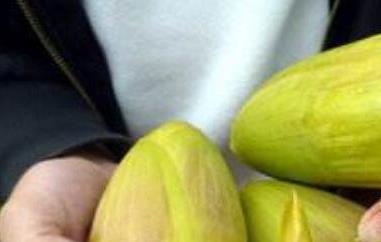 芭蕉心怎么吃 芭蕉心怎么吃对心脏好