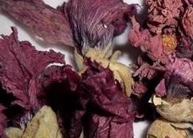 紫罗兰花茶的功效与作用（紫罗兰花茶的功效与作用及副作用）