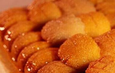 海胆黄是什么（海胆黄是什么东西）