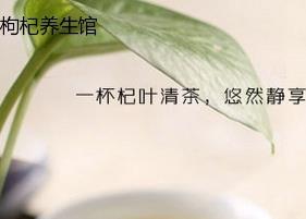 枸杞叶茶成份（枸杞叶茶是什么茶）