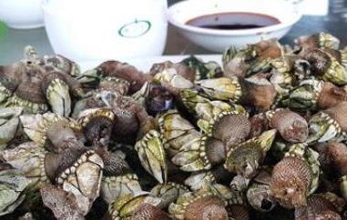 海佛手怎么吃（海里佛手怎么吃）