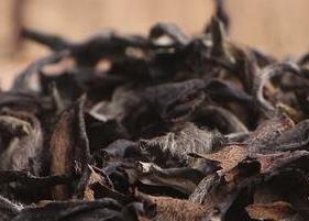 老白茶的功效与作用及禁忌 福鼎老白茶的功效与作用及禁忌